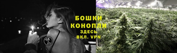метамфетамин Дмитриев